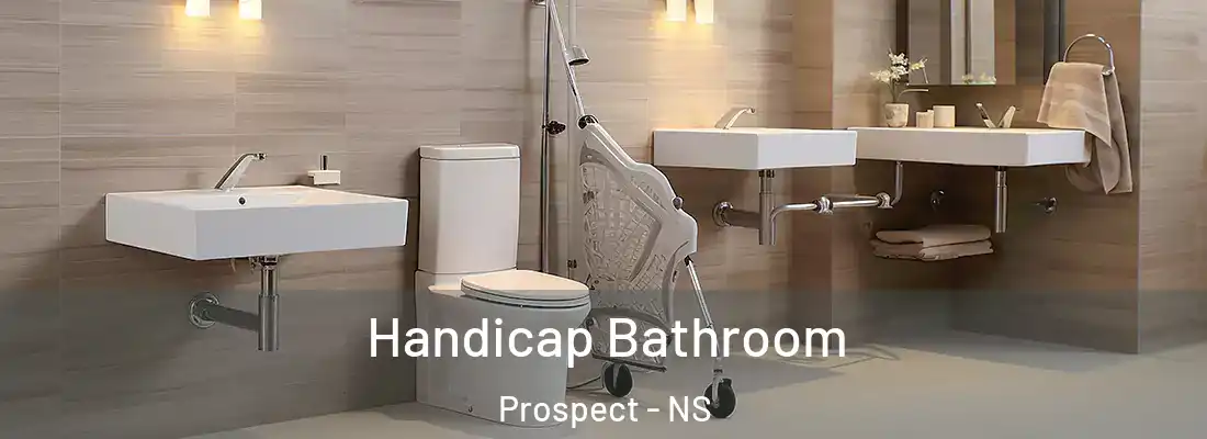 Handicap Bathroom Prospect - NS