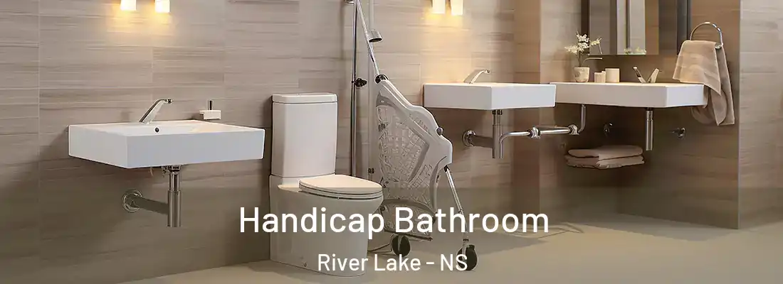 Handicap Bathroom River Lake - NS