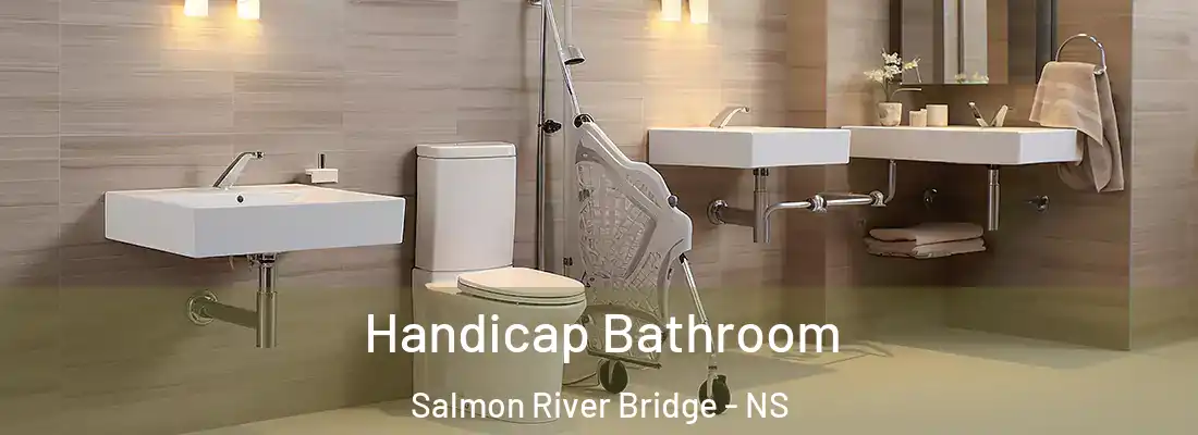  Handicap Bathroom Salmon River Bridge - NS