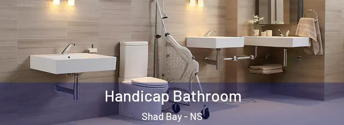 Handicap Bathroom Shad Bay - NS
