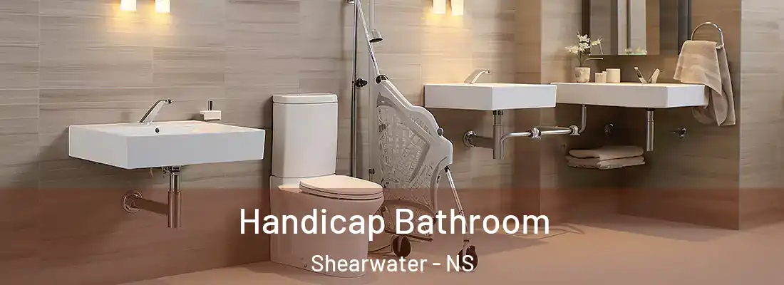 Handicap Bathroom Shearwater - NS