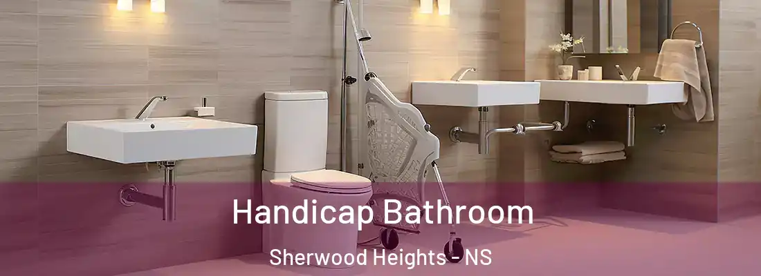 Handicap Bathroom Sherwood Heights - NS
