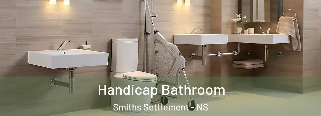 Handicap Bathroom Smiths Settlement - NS