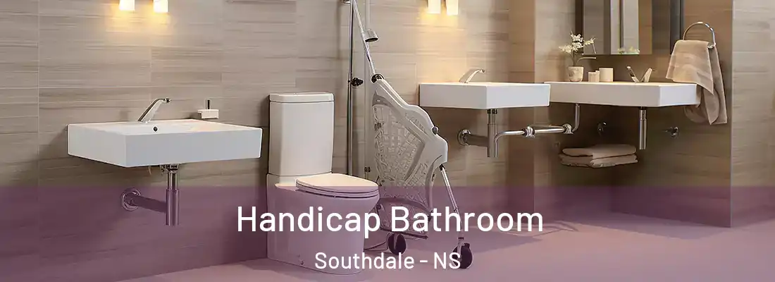 Handicap Bathroom Southdale - NS