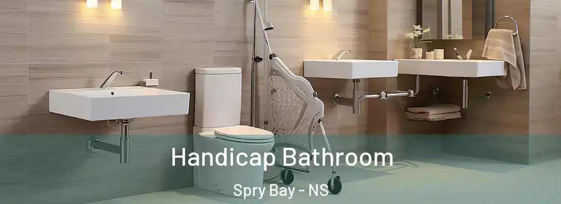 Handicap Bathroom Spry Bay - NS