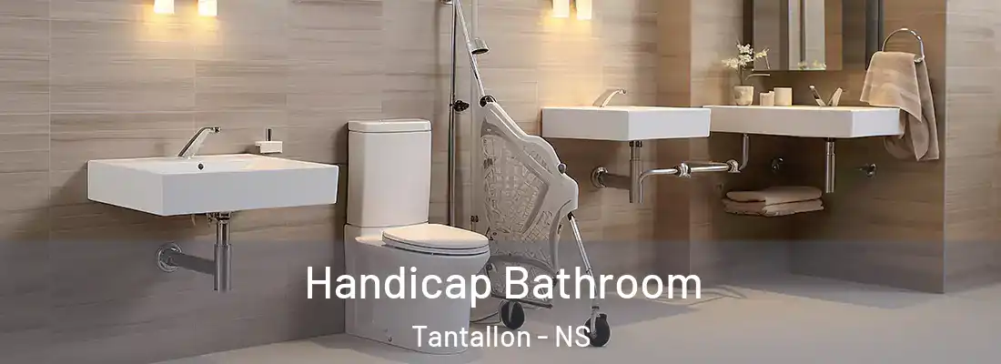 Handicap Bathroom Tantallon - NS