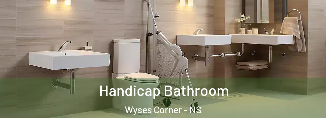 Handicap Bathroom Wyses Corner - NS