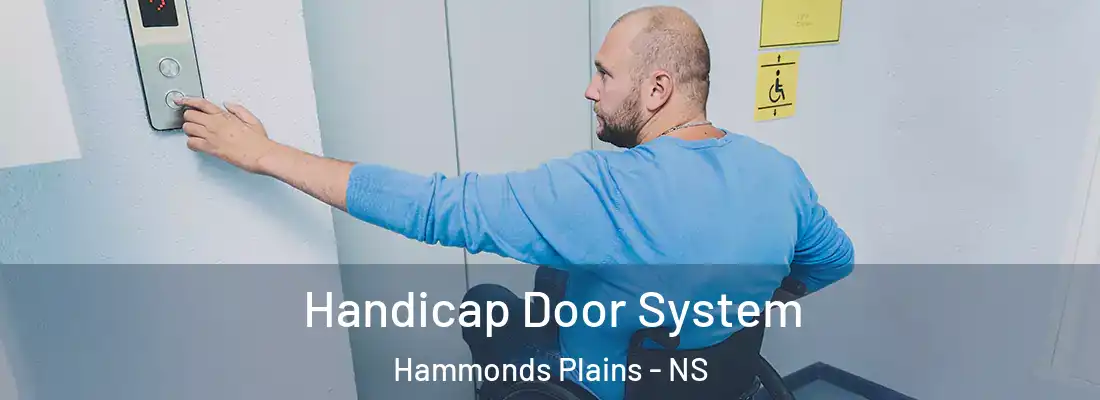 Handicap Door System Hammonds Plains - NS