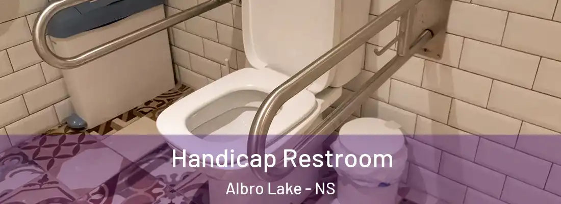 Handicap Restroom Albro Lake - NS