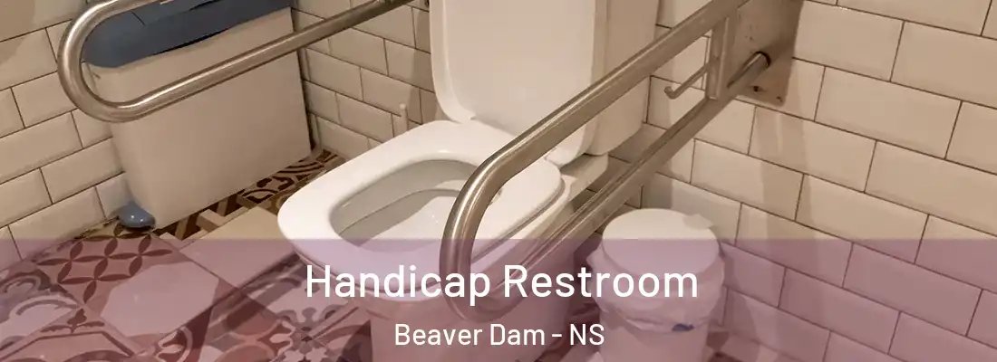  Handicap Restroom Beaver Dam - NS