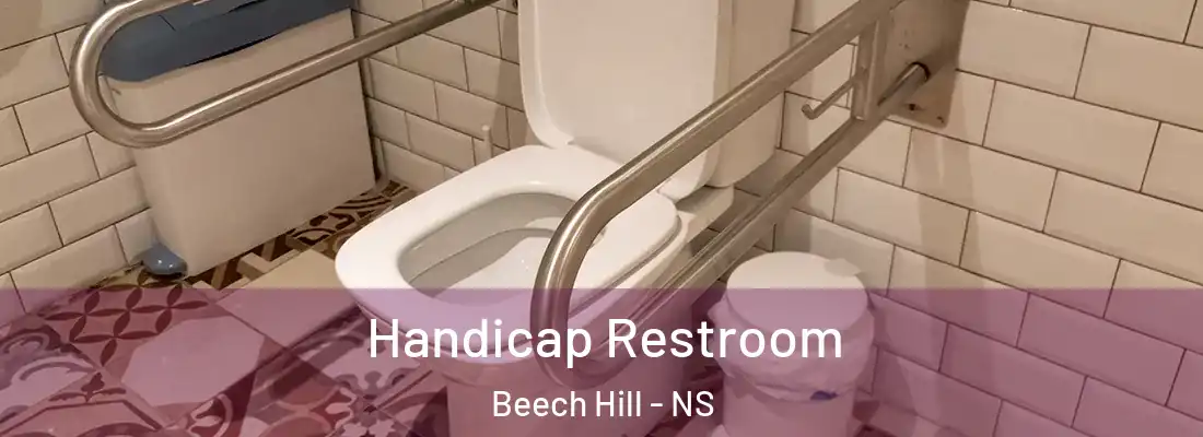 Handicap Restroom Beech Hill - NS