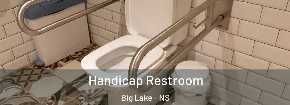  Handicap Restroom Big Lake - NS