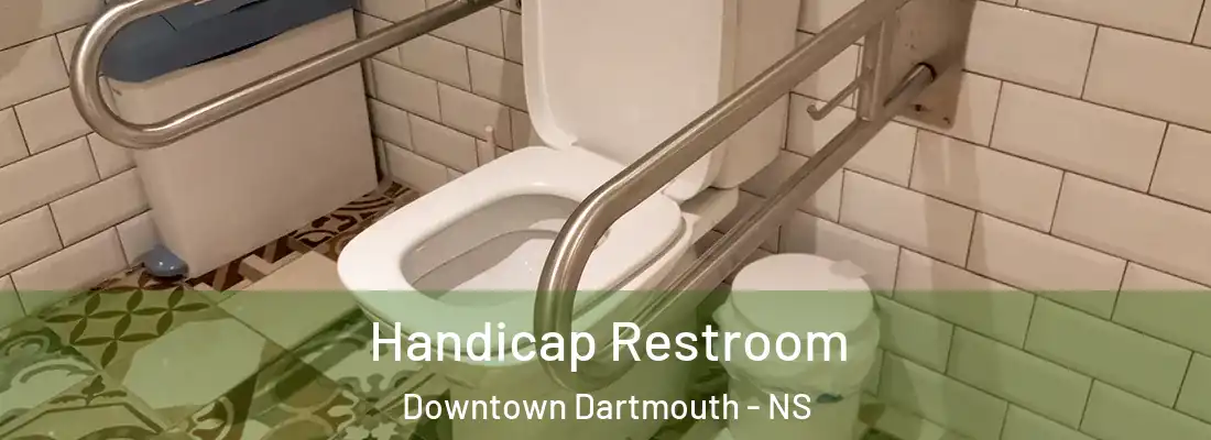 Handicap Restroom Downtown Dartmouth - NS
