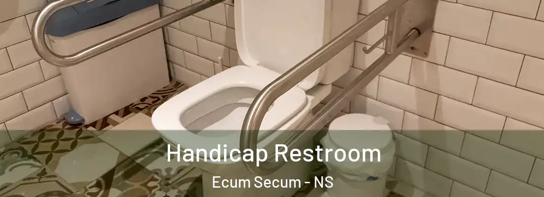  Handicap Restroom Ecum Secum - NS