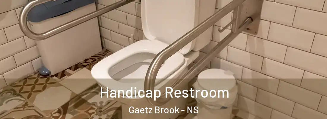 Handicap Restroom Gaetz Brook - NS