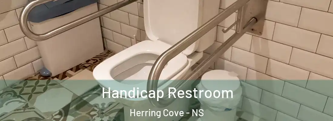 Handicap Restroom Herring Cove - NS