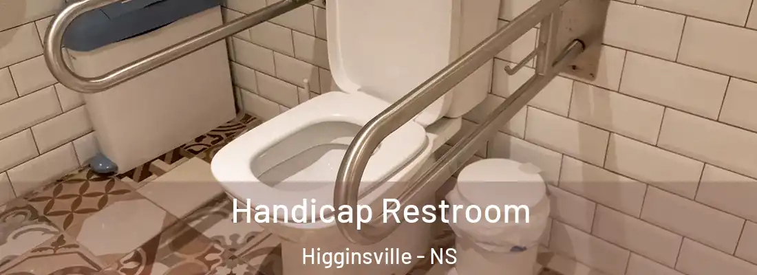 Handicap Restroom Higginsville - NS