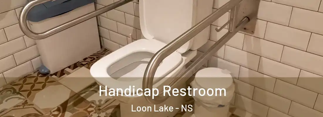 Handicap Restroom Loon Lake - NS