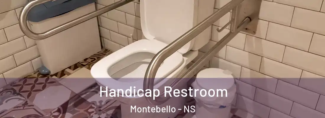 Handicap Restroom Montebello - NS
