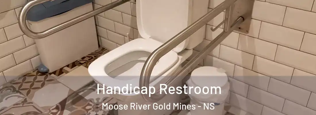 Handicap Restroom Moose River Gold Mines - NS