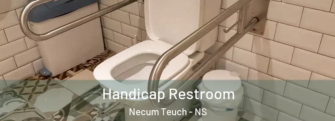  Handicap Restroom Necum Teuch - NS