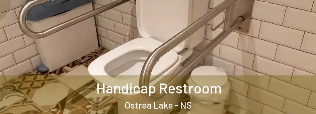  Handicap Restroom Ostrea Lake - NS