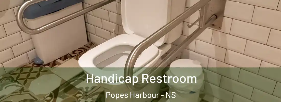 Handicap Restroom Popes Harbour - NS