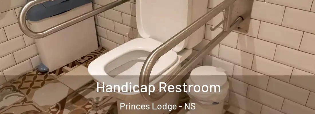  Handicap Restroom Princes Lodge - NS