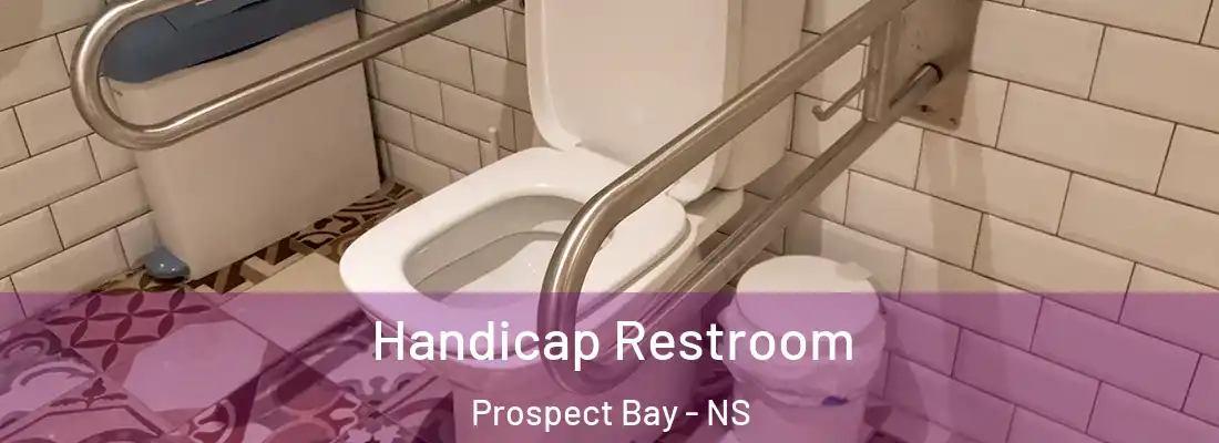 Handicap Restroom Prospect Bay - NS