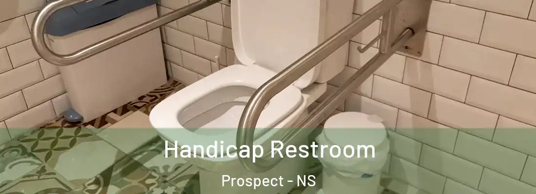 Handicap Restroom Prospect - NS