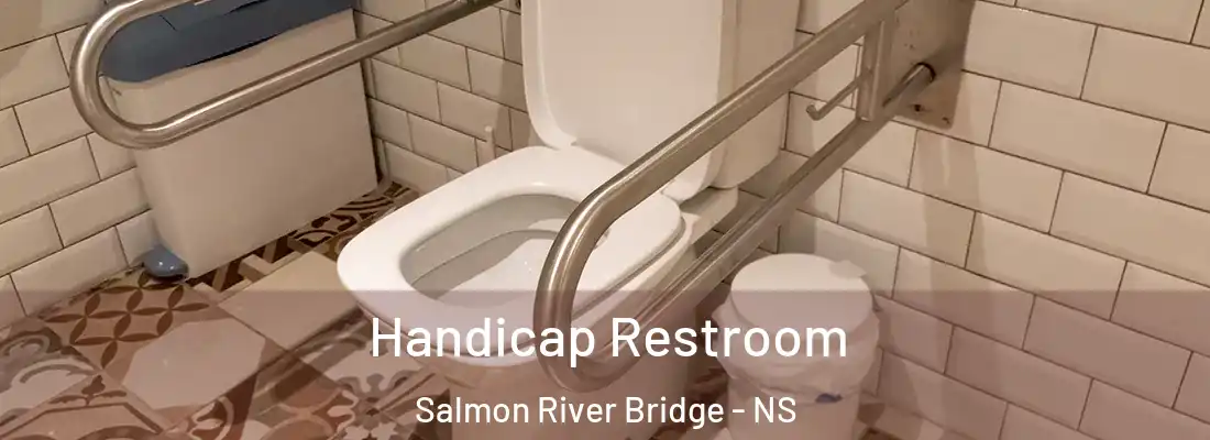 Handicap Restroom Salmon River Bridge - NS