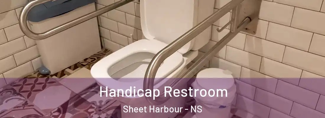 Handicap Restroom Sheet Harbour - NS