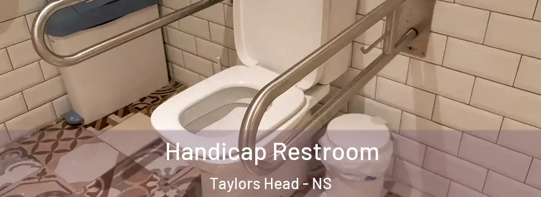 Handicap Restroom Taylors Head - NS
