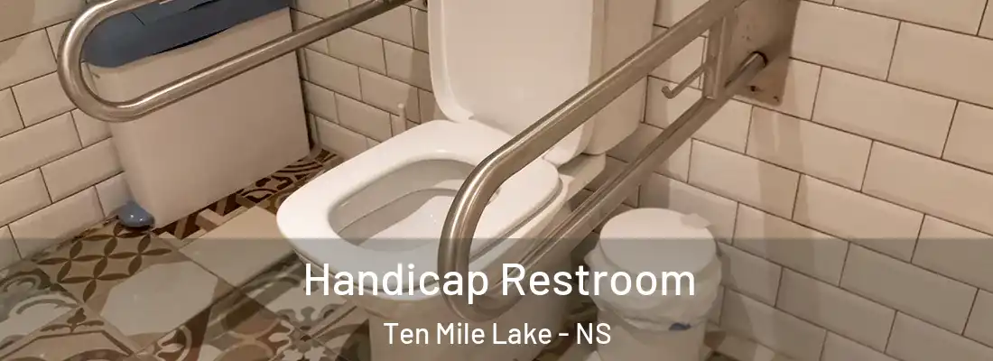 Handicap Restroom Ten Mile Lake - NS
