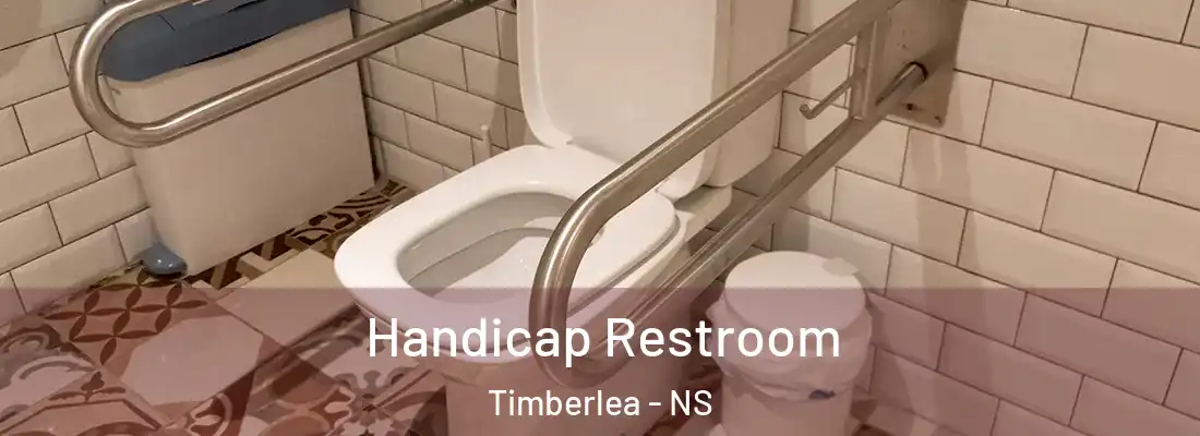  Handicap Restroom Timberlea - NS