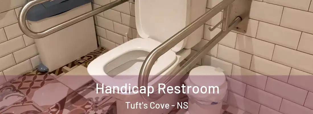 Handicap Restroom Tuft's Cove - NS