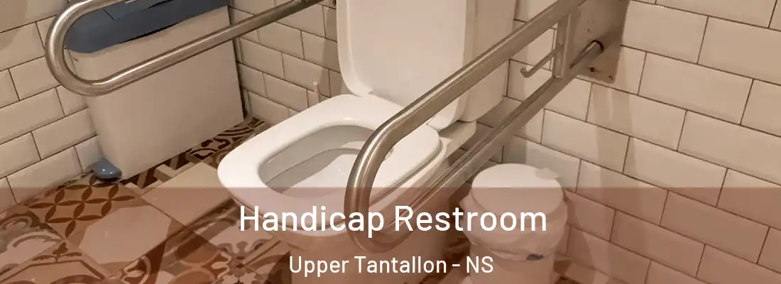  Handicap Restroom Upper Tantallon - NS