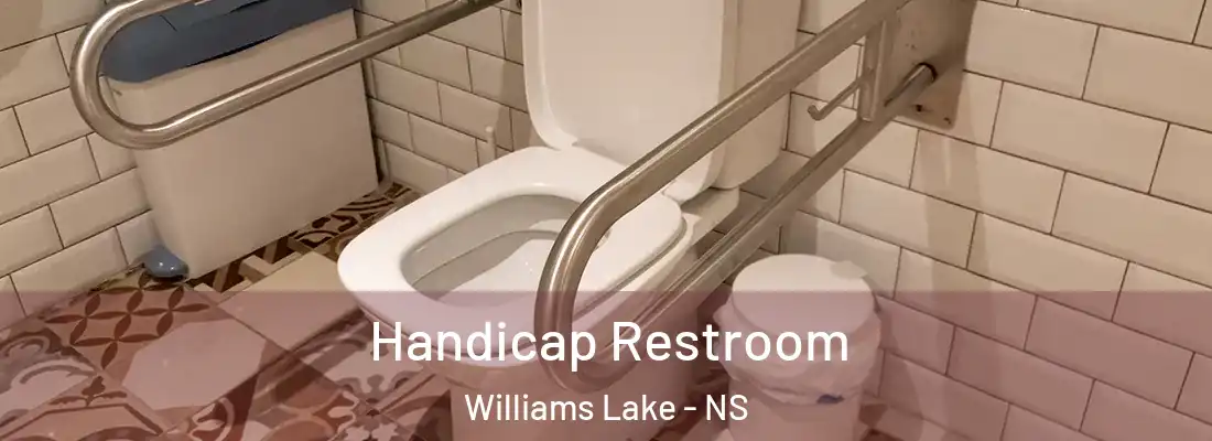 Handicap Restroom Williams Lake - NS