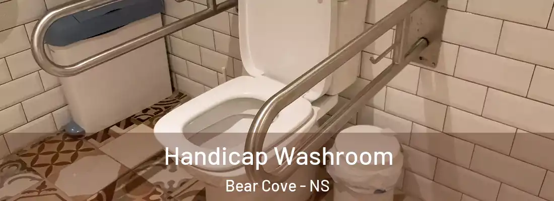 Handicap Washroom Bear Cove - NS