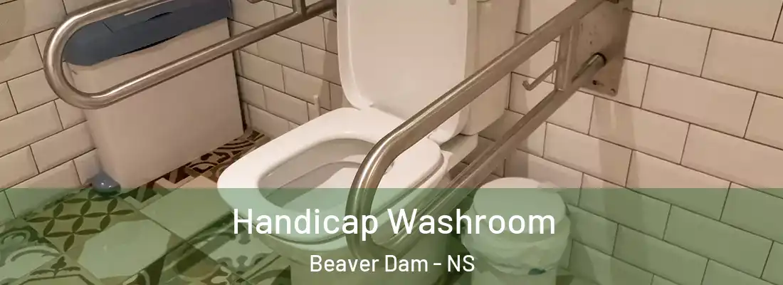 Handicap Washroom Beaver Dam - NS