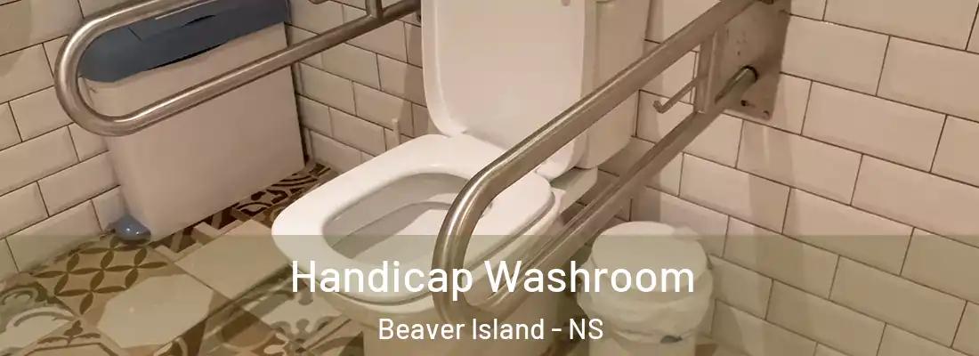 Handicap Washroom Beaver Island - NS