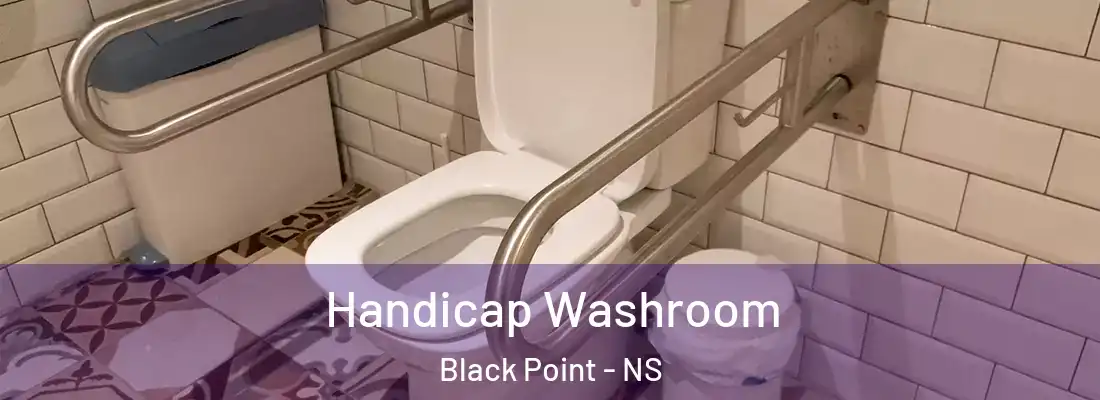  Handicap Washroom Black Point - NS