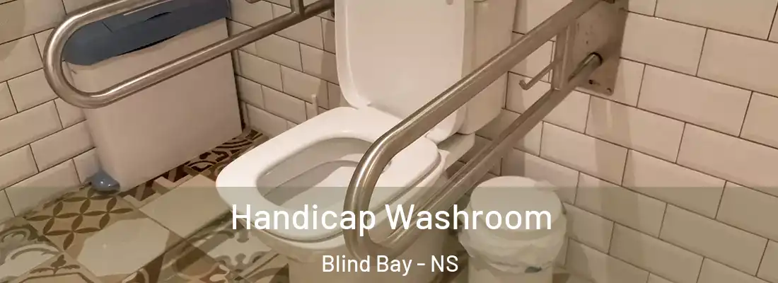 Handicap Washroom Blind Bay - NS