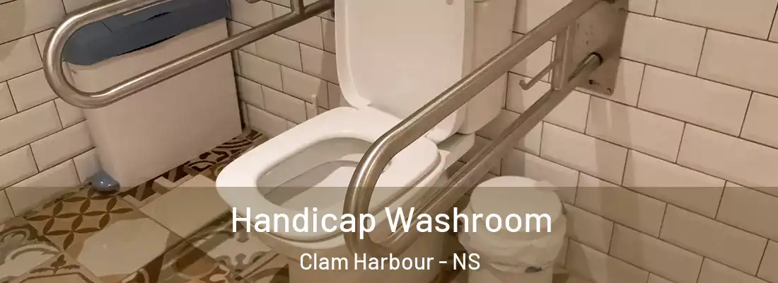 Handicap Washroom Clam Harbour - NS