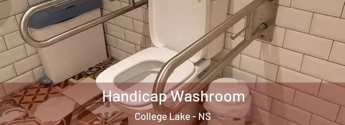Handicap Washroom College Lake - NS