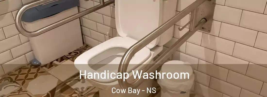 Handicap Washroom Cow Bay - NS