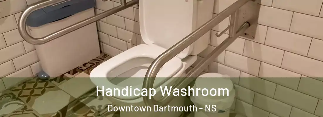 Handicap Washroom Downtown Dartmouth - NS
