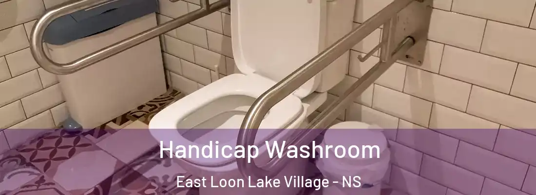 Handicap Washroom East Loon Lake Village - NS