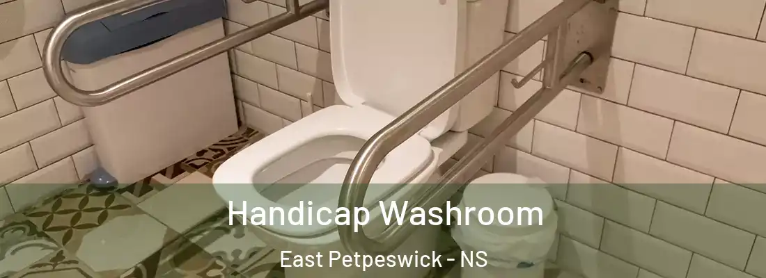 Handicap Washroom East Petpeswick - NS