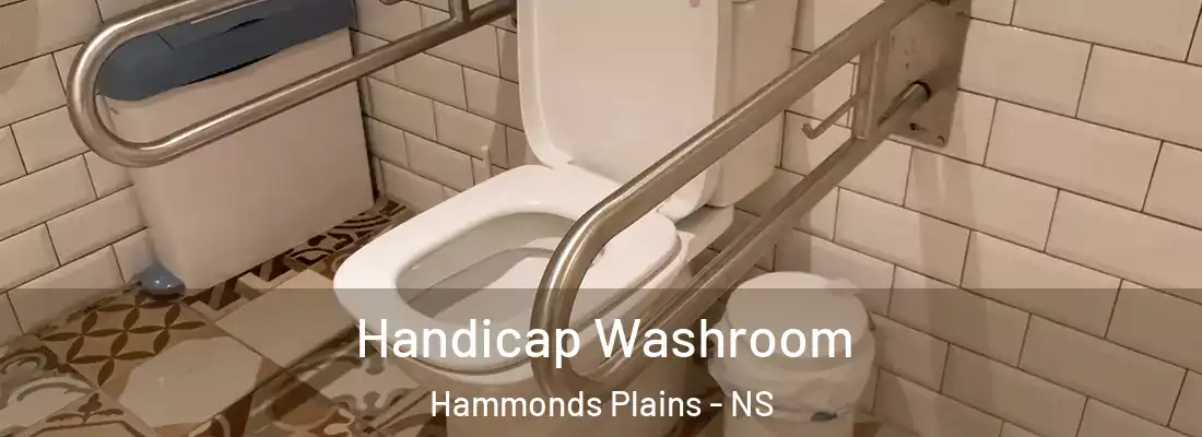  Handicap Washroom Hammonds Plains - NS